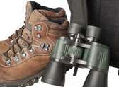 Intracoastal Outfitters