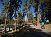 Centennial Trail