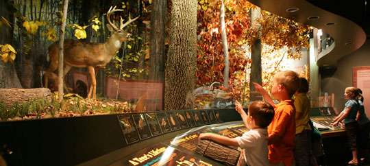 Grand Rapids Public Museum