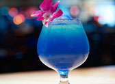 Blue Martini Lounge