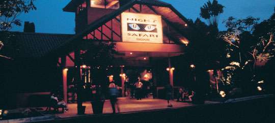 Night Safari