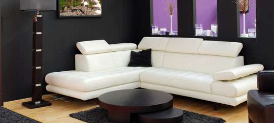Black Bamboo