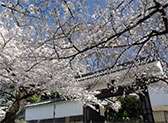 The Imperial Palace