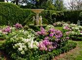 Mounts Botanical Garden