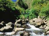 Iao Valley State Park