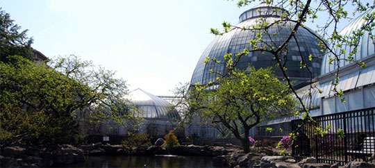Belle Isle