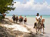 Hooves Jamaica
