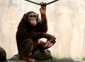 Gulf Breeze Zoo