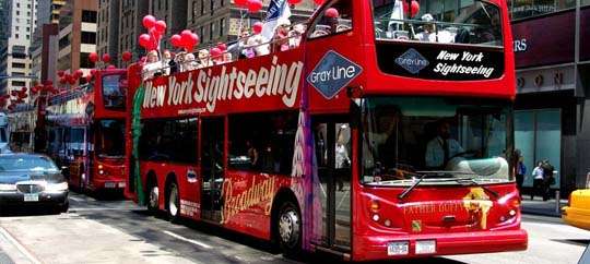 Gray Line Bus Tour
