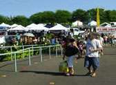 Maui Swap Meet