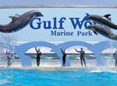 Gulf World Marine Park