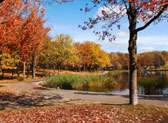 Mount Royal Park