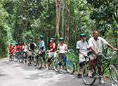 Blue Mountain Bike Tours