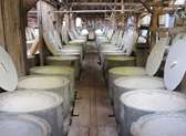 Graber Olive House