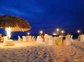 Passions on the Beach