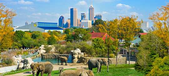 Indianapolis Zoo
