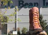 L.L. Bean