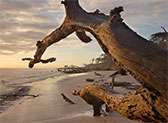 Big Talbot Island State Park