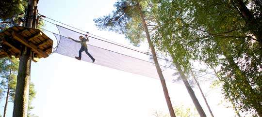 Go Ape