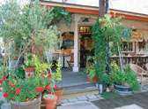 Temecula Olive Oil Company