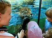 Woodland Park Zoo