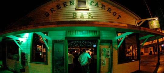 Green Parrot