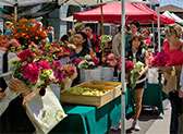 Ferry Plaza Farmers Market