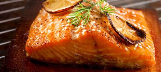 salmon