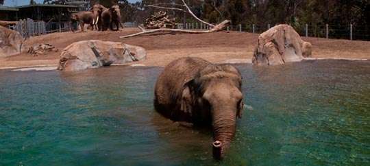 San Diego Zoo