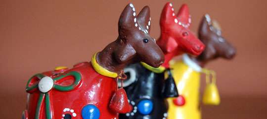 clay bulls