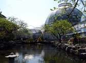Belle Isle
