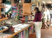 Craft Booths at Spouting Horn Park