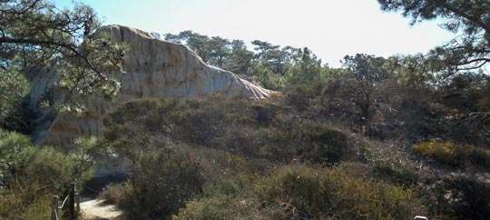 Torrey Pines State Natural Reserve San Diego