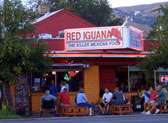Red Iguana